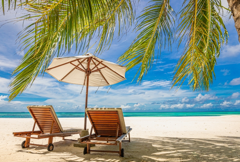 Palms, chairs, ocean